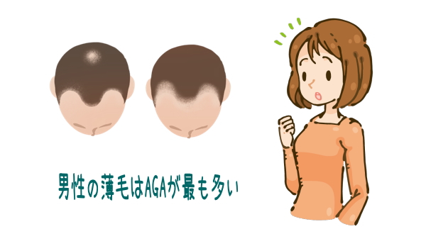 �j���̔���